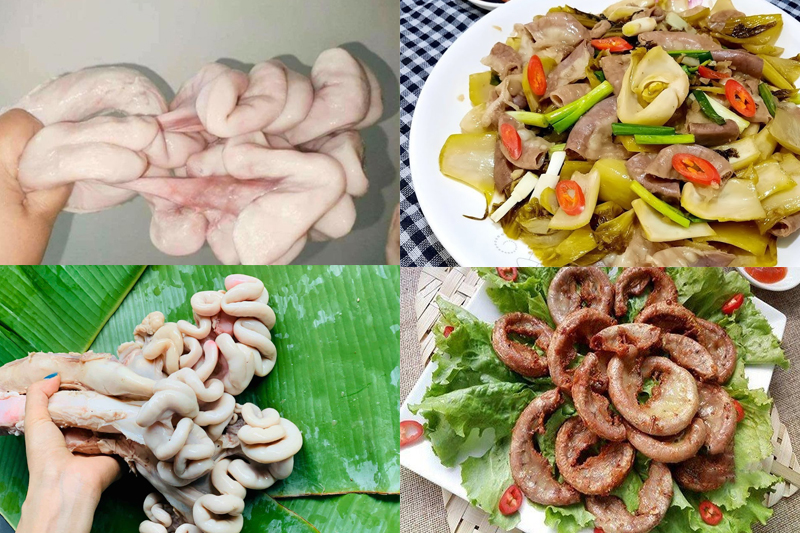 Dồi trường lớn